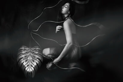Winter Third Movement Beyond Your Breath, Nothing Awaits - from Black Sonata for Vivaldi  - a Photographic Art Artowrk by Cristiana Bezerra de Menezes Signorelli